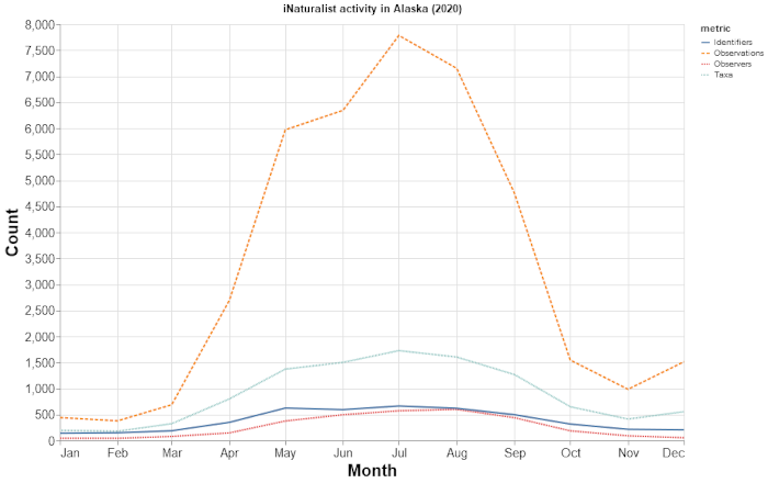 combined_activity_stats.png