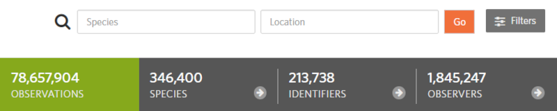inat-observation-search-bar.png