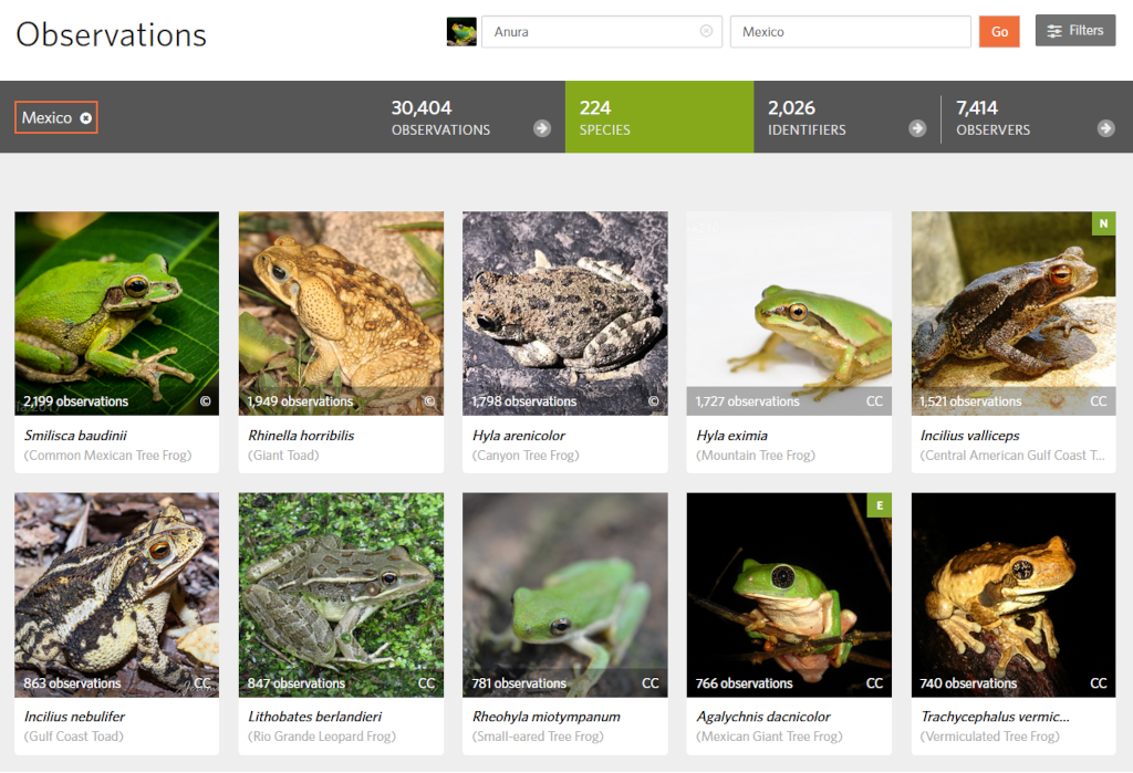 inat-observation-species-counts.png