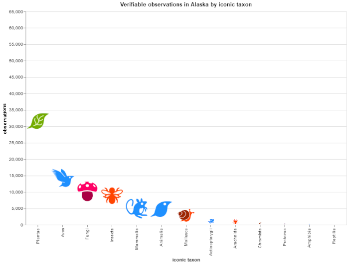 total_observations_by_iconic_taxon.png