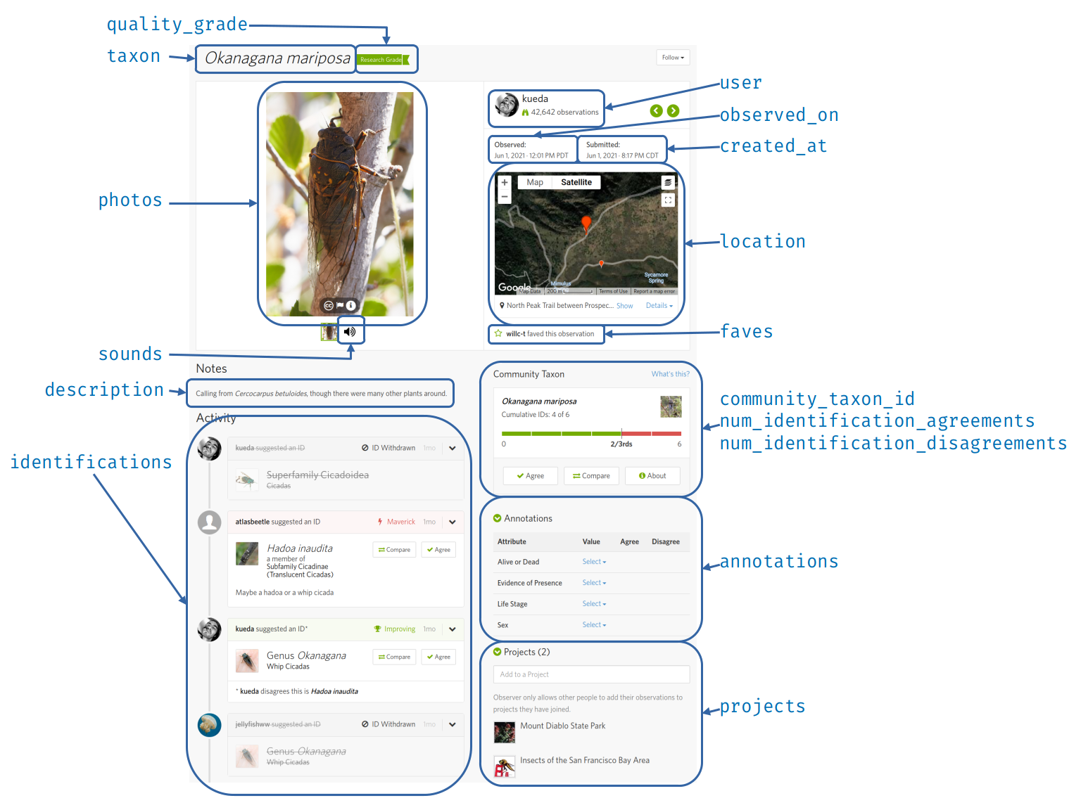 ../_images/inat-observation-page-annotated.png